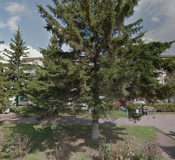 Банкомат МТС-Банка по адресу проспект Кирова 65